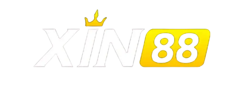Xin313 com